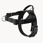 Harnais pour chien anti-traction