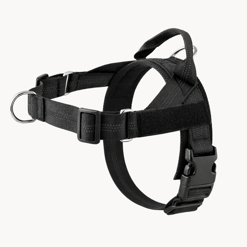 Harnais pour chien anti-traction