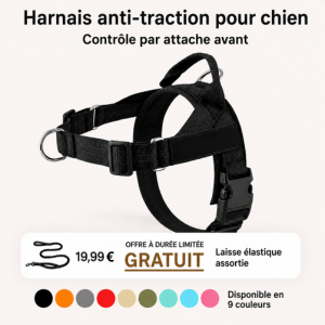 Harnais pour chien anti-traction