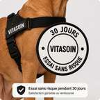 Harnais pour chien anti-traction