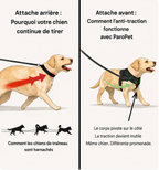 Harnais pour chien anti-traction
