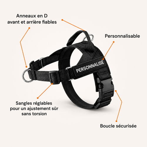 Harnais pour chien anti-traction