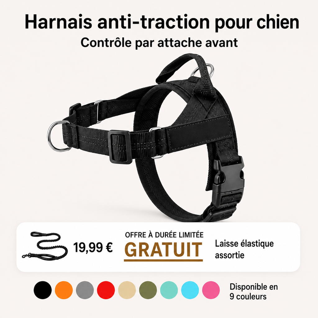 Harnais pour chien anti-traction